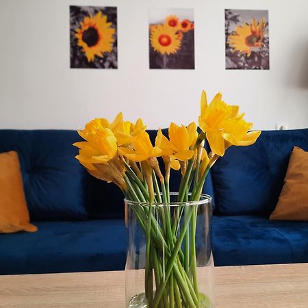 Apartament Baltycka Sardynka Ustka Zewnętrze zdjęcie