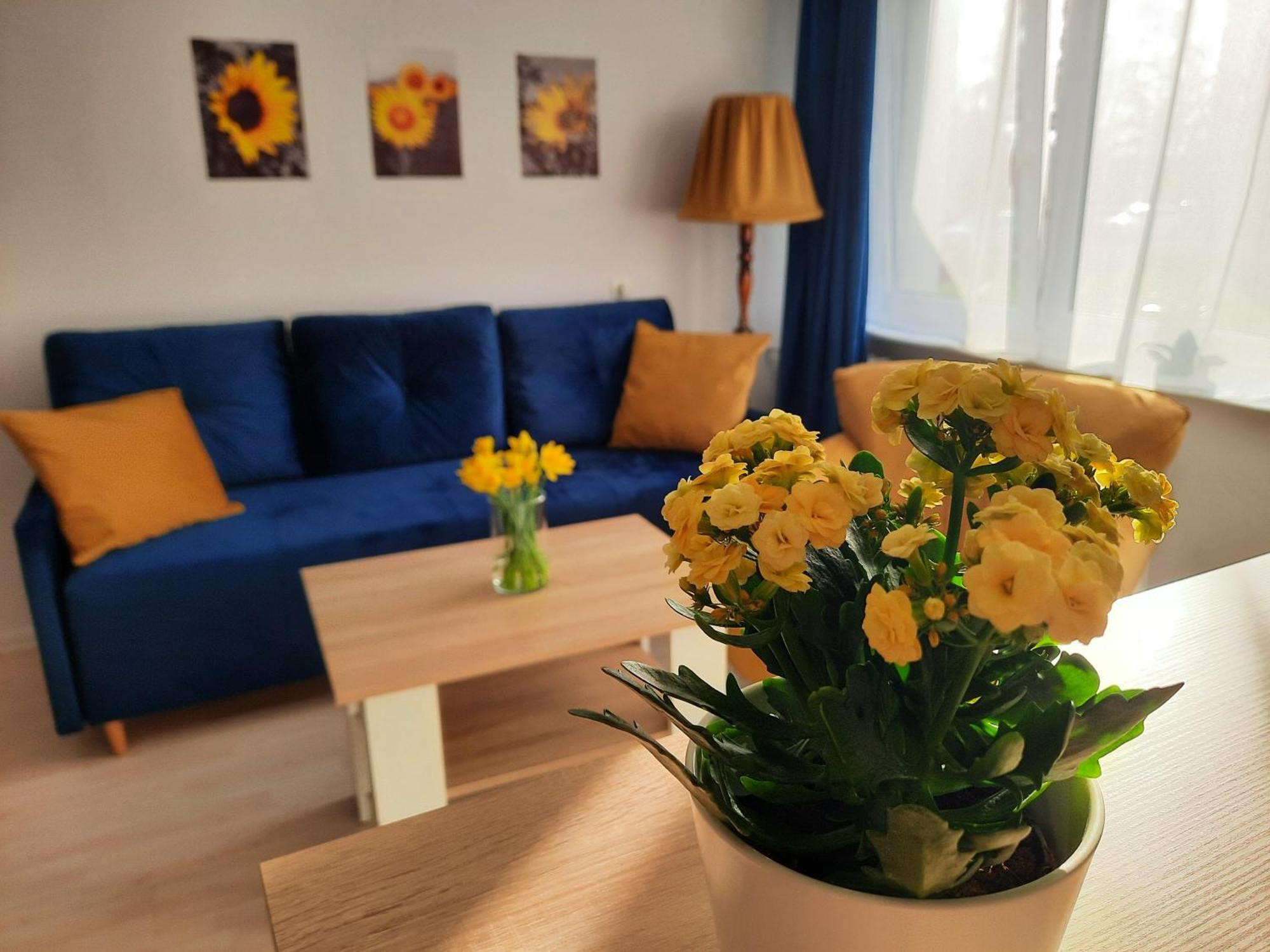 Apartament Baltycka Sardynka Ustka Zewnętrze zdjęcie